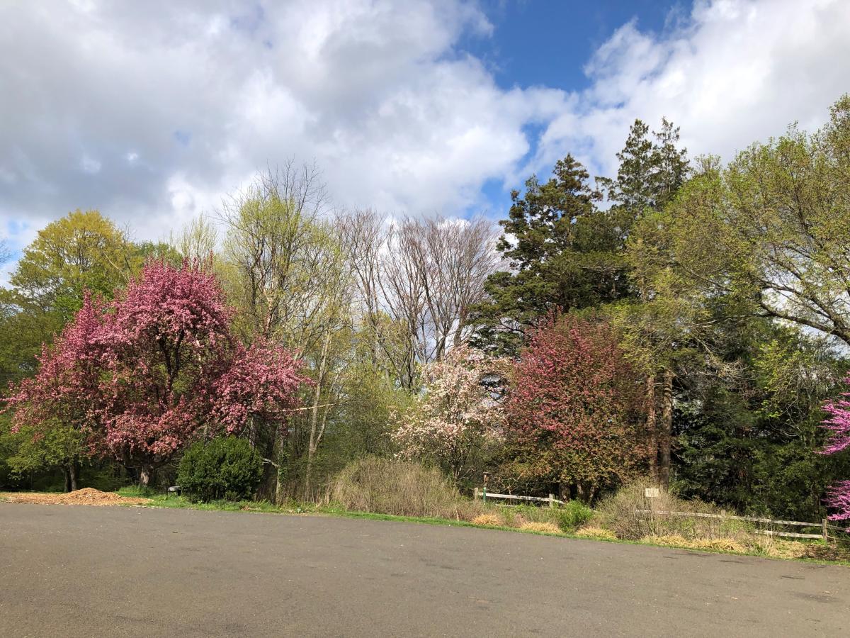 Spring