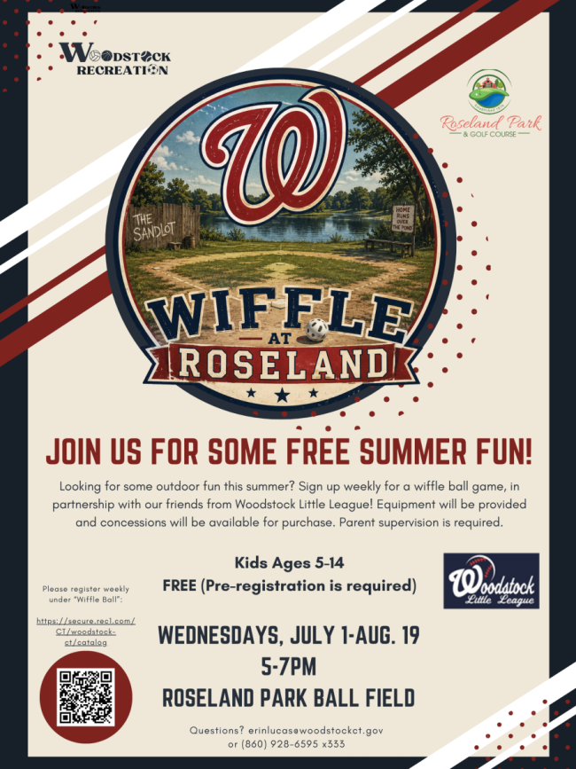 wiffle ball
