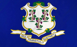 Connecticut Flag