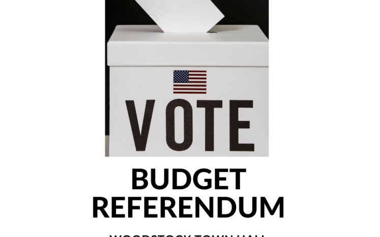 Budget Referendum